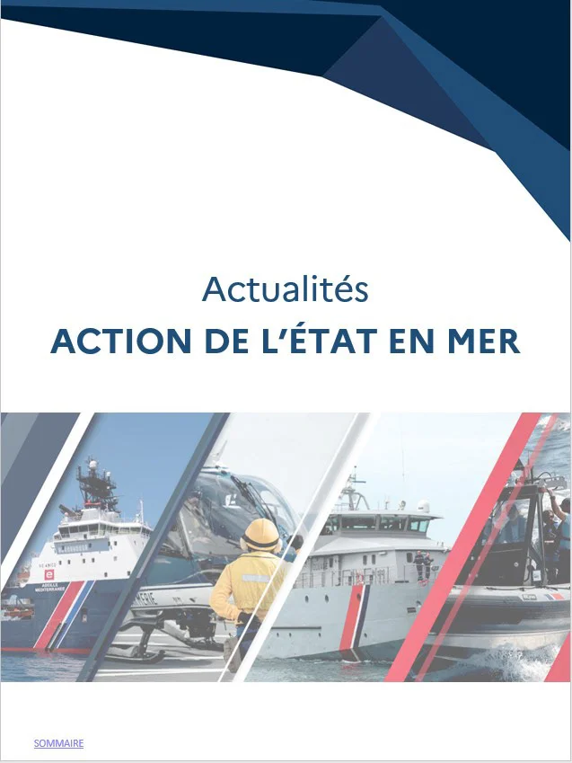 Exemple de revue de presse